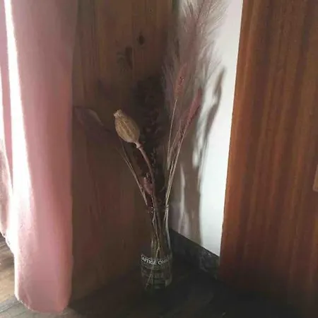 Gemutliche Auf Dem Ziegenhof لمغو