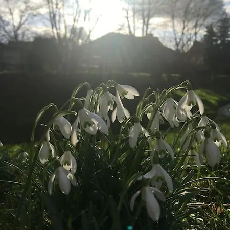 Gemutliche Auf Dem Ziegenhof
